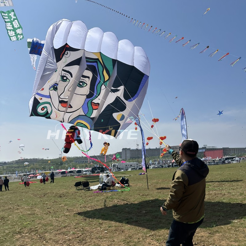 12/18/23/31sq.m abstract printing pilot kite 40d ripstop nylon 