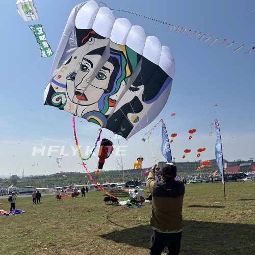 12/18/23/31sq.m abstract printing pilot kite 40d ripstop nylon