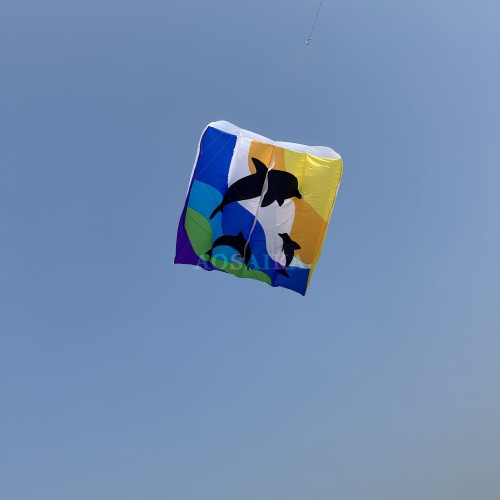 New Arrival Soft Inflatable 12sqm/16sqm Dolphin Flowfrom Kite 40d Nylon Ripstop Adults High Quality Colorful Animal Show Kites