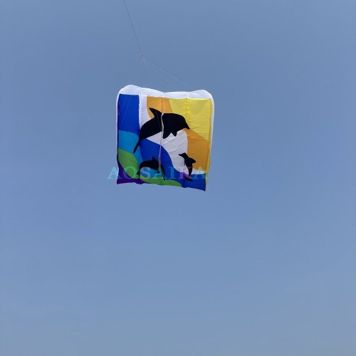 New Arrival Soft Inflatable 12sqm/16sqm Dolphin Flowfrom Kite 40d Nylon Ripstop Adults High Quality Colorful Animal Show Kites