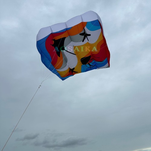 New Arrival Soft Inflatable 12sqm/16sqm Pilot Kite 40d Ripstop Nylon For Adults High Quality Colorful Show Kites