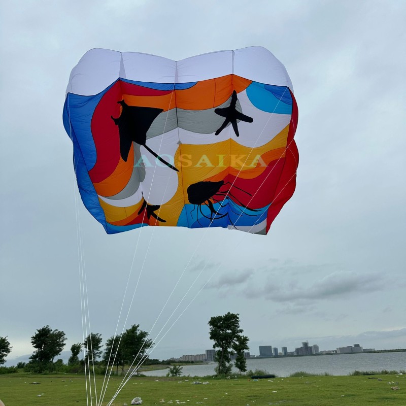 New Arrival Soft Inflatable 12sqm/16sqm Pilot Kite 40d Ripstop Nylon For Adults High Quality Colorful Show Kites 