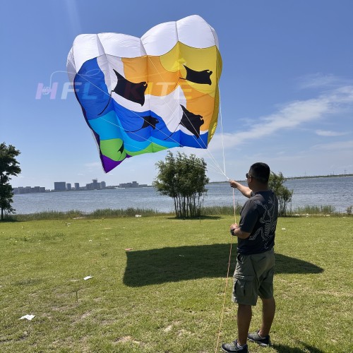 12/16sq.m pilot ray lifter kite 40d ripstop nylon