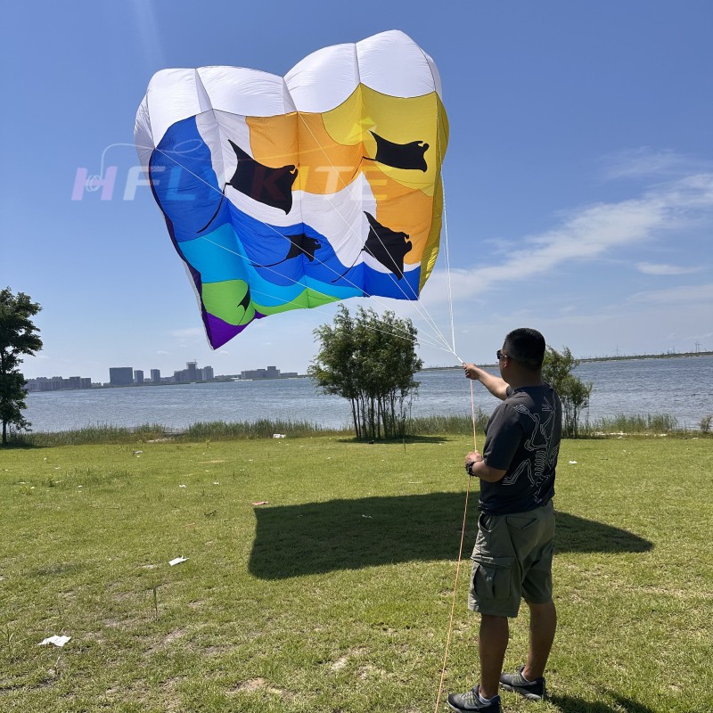 12/16sq.m pilot ray lifter kite 40d ripstop nylon 