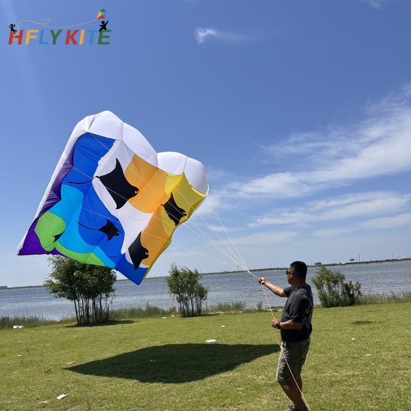 12/16sq.m pilot ray lifter kite 40d ripstop nylon 