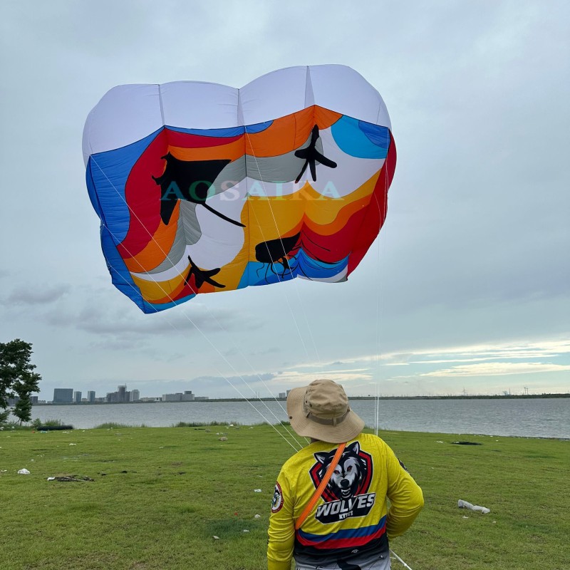 New Arrival Soft Inflatable 12sqm/16sqm Pilot Kite 40d Ripstop Nylon For Adults High Quality Colorful Show Kites 