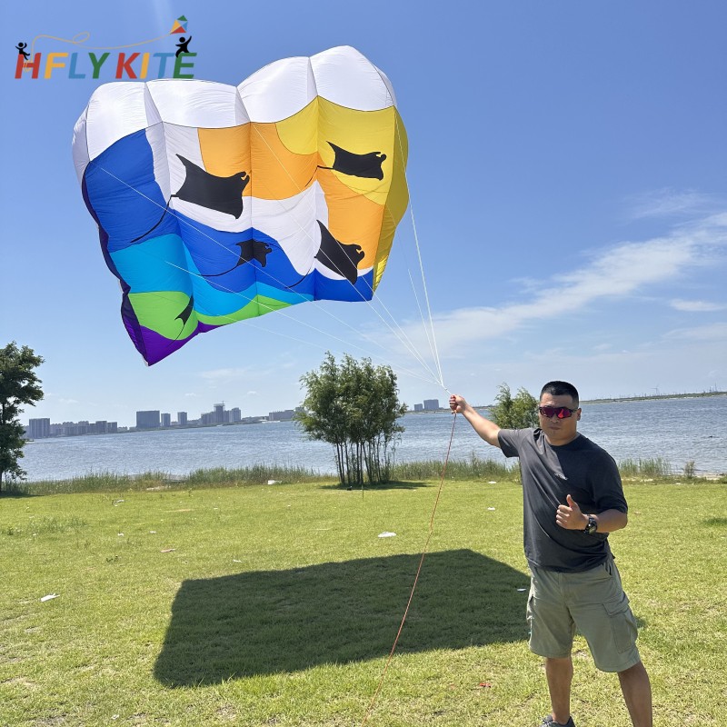12/16sq.m pilot ray lifter kite 40d ripstop nylon 