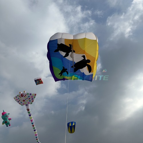 12/16sq.m pilot ray lifter kite 40d ripstop nylon