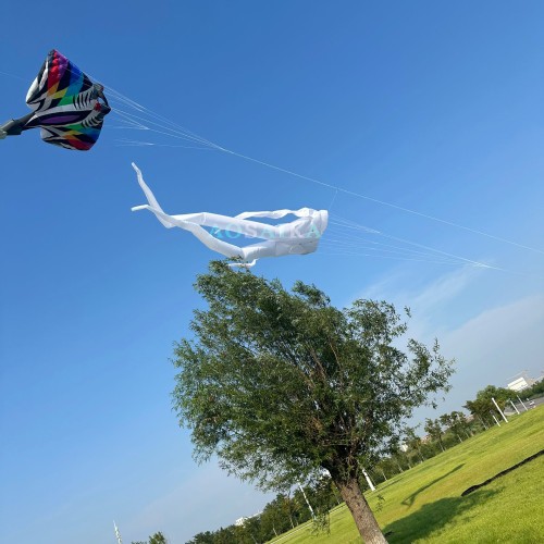 New Arrival Large Soft Inflatable 3D 13M Model Kite Line Laundry for Adults High Quality Nylon Show Kite Pendant