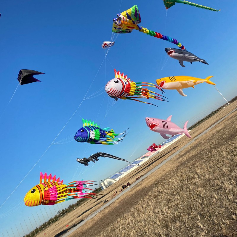 8m lionfish kite pendant 