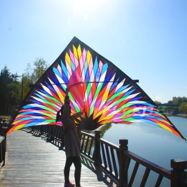 6sq.m triangular flower delta kite  