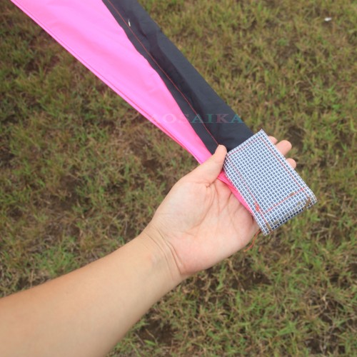 5*2.5m kite 40d ripstop nylon