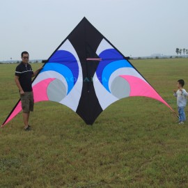 5*2.5m kite 40d ripstop nylon 