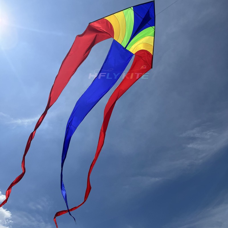 4*13.5m triangular kite 40d ripstop nylon 
