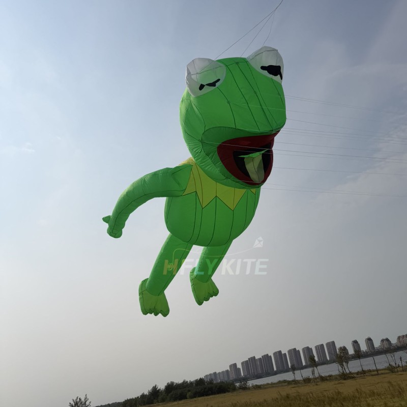 5m Comitte Frog kite pendant 40d ripstop nylon For Adults High Quality Colorful Show Kites