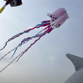 18M jellyfish kite pendant 40d ripstop nylon 