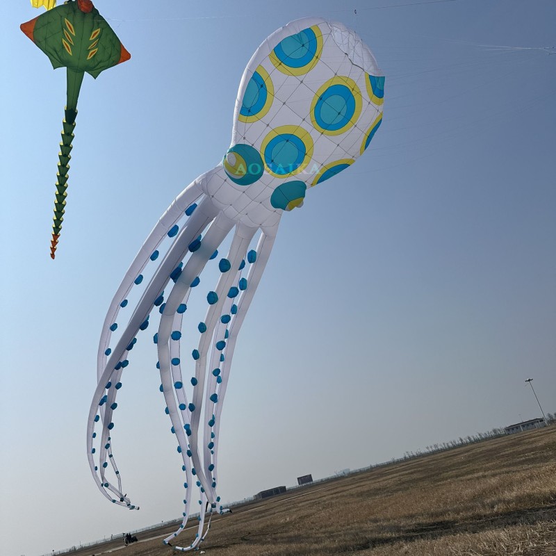 20-30-40m octopus Kite Pendant 40d Ripstop Nylon For Adults High Quality Colorful Show Kite 