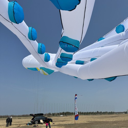 20-30-40m octopus Kite Pendant 40d Ripstop Nylon For Adults High Quality Colorful Show Kite