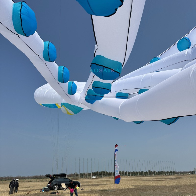 20-30-40m octopus Kite Pendant 40d Ripstop Nylon For Adults High Quality Colorful Show Kite 