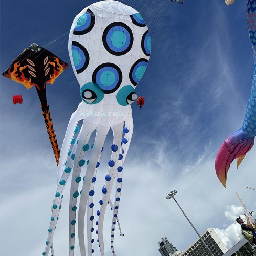 20-30-40m octopus Kite Pendant 40d Ripstop Nylon For Adults High Quality Colorful Show Kite