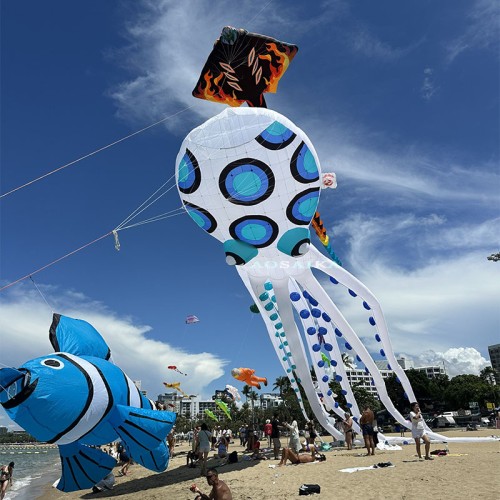 20-30-40m octopus Kite Pendant 40d Ripstop Nylon For Adults High Quality Colorful Show Kite
