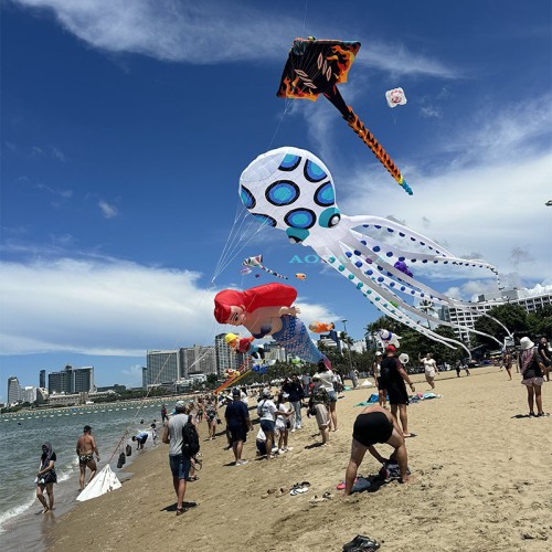 20-30-40m octopus Kite Pendant 40d Ripstop Nylon For Adults High Quality Colorful Show Kite