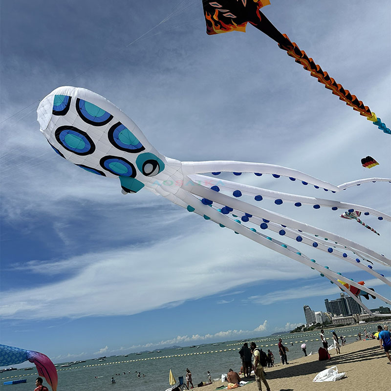 20-30-40m octopus Kite Pendant 40d Ripstop Nylon For Adults High Quality Colorful Show Kite 