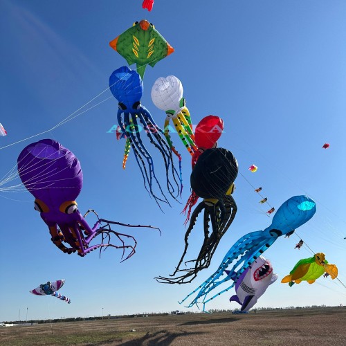 20m octopus kite pendant 40d ripstop nylon