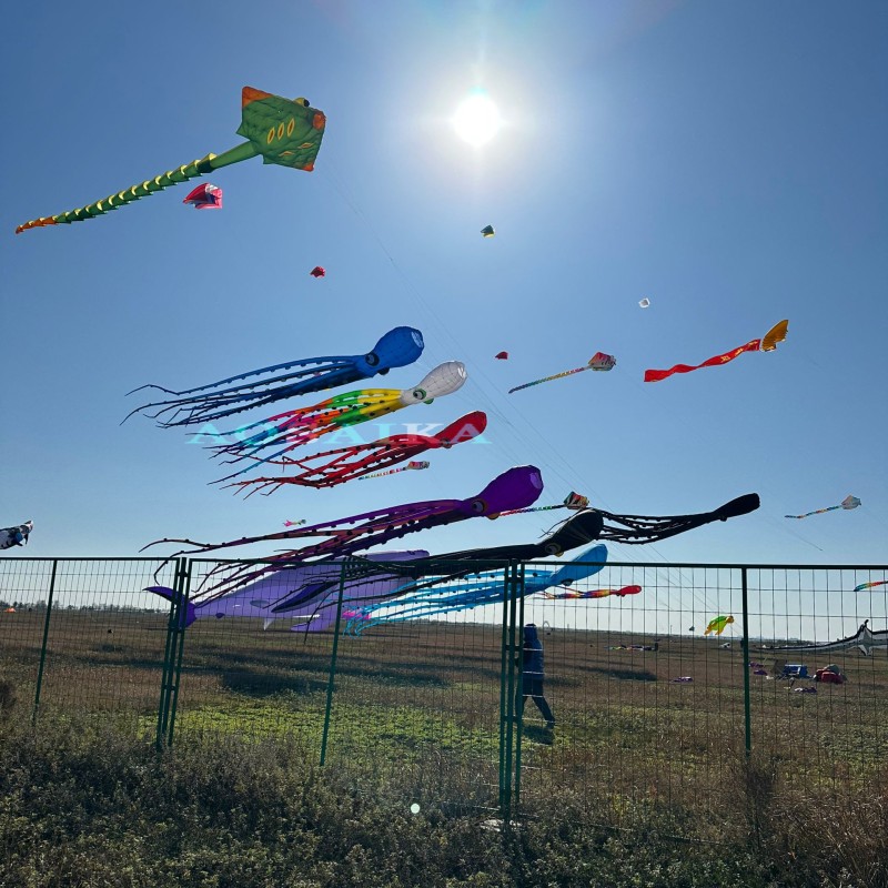 20m octopus kite pendant 40d ripstop nylon 