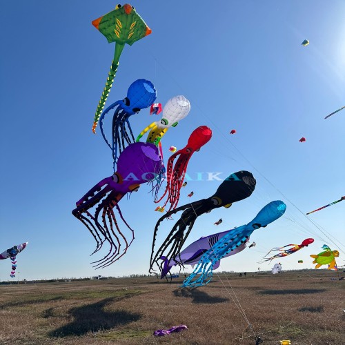 20m octopus kite pendant 40d ripstop nylon
