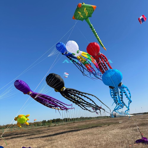 20m octopus kite pendant 40d ripstop nylon