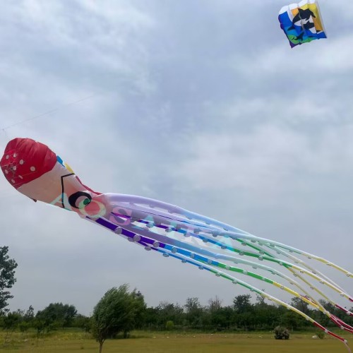 New Arrival Soft Inflatable 20m/40m Pirate Octopus Kite Pendant 40d Ripstop Nylon For Adults High Quality Colorful Animal Show Kites