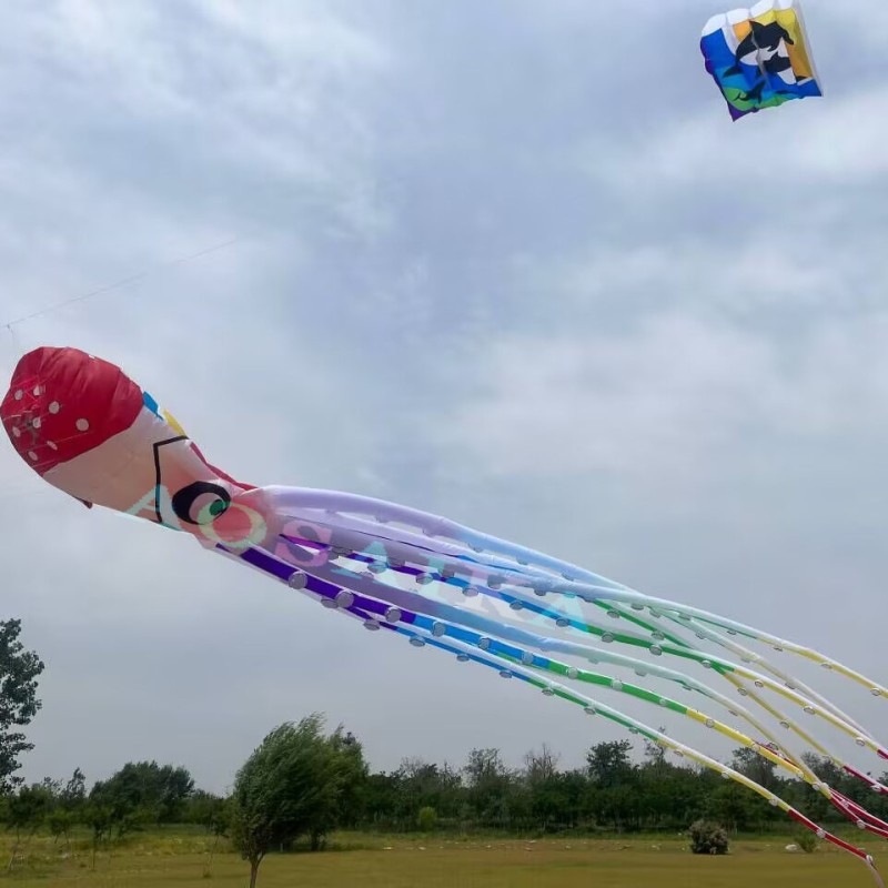 New Arrival Soft Inflatable 20m/40m Pirate Octopus Kite Pendant 40d Ripstop Nylon For Adults High Quality Colorful Animal Show Kites 