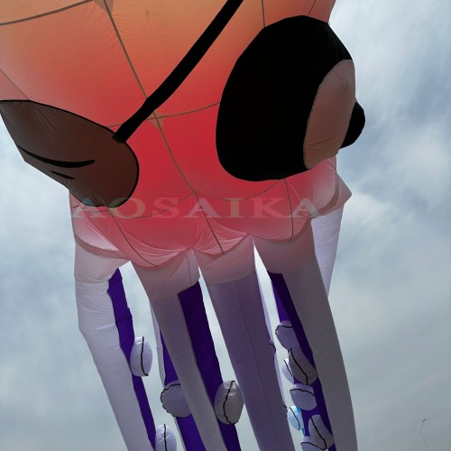 New Arrival Soft Inflatable 20m/40m Pirate Octopus Kite Pendant 40d Ripstop Nylon For Adults High Quality Colorful Animal Show Kites