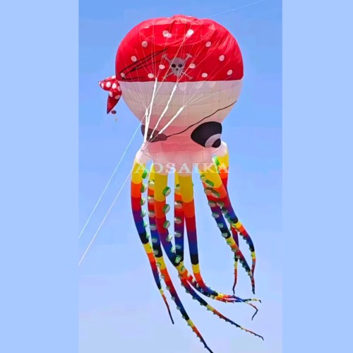 New Arrival Soft Inflatable 20m/40m Pirate Octopus Kite Pendant 40d Ripstop Nylon For Adults High Quality Colorful Animal Show Kites New Arrival Soft Inflatable 20m/40m Pirate Octopus Kite Pendant 40d Ripstop Nylon For Adults High Quality Colorful Animal Show Kites