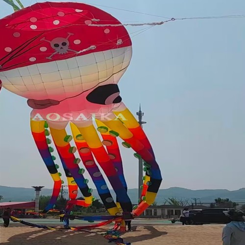 New Arrival Soft Inflatable 20m/40m Pirate Octopus Kite Pendant 40d Ripstop Nylon For Adults High Quality Colorful Animal Show Kites New Arrival Soft Inflatable 20m/40m Pirate Octopus Kite Pendant 40d Ripstop Nylon For Adults High Quality Colorful Animal Show Kites