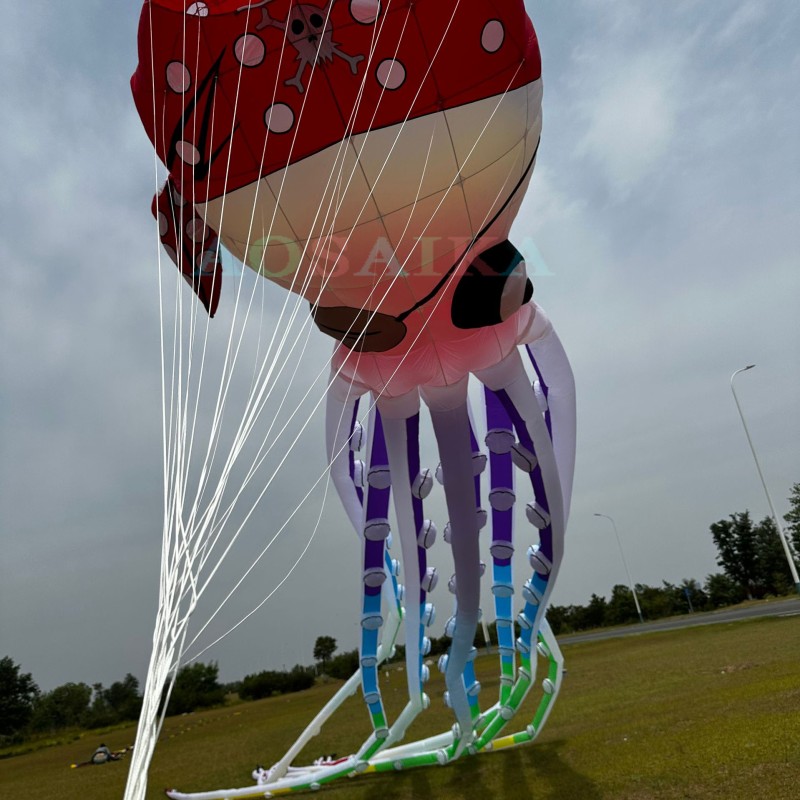 New Arrival Soft Inflatable 20m/40m Pirate Octopus Kite Pendant 40d Ripstop Nylon For Adults High Quality Colorful Animal Show Kites 