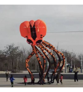 58m octopus Kite Pendant 40d Ripstop Nylon For Adults High Quality Colorful Show Kite