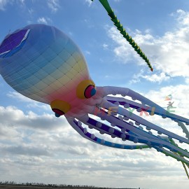 40M octopus kite pendant 40d ripstop nylon 