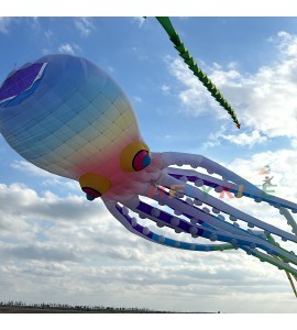 40M octopus kite pendant 40d ripstop nylon