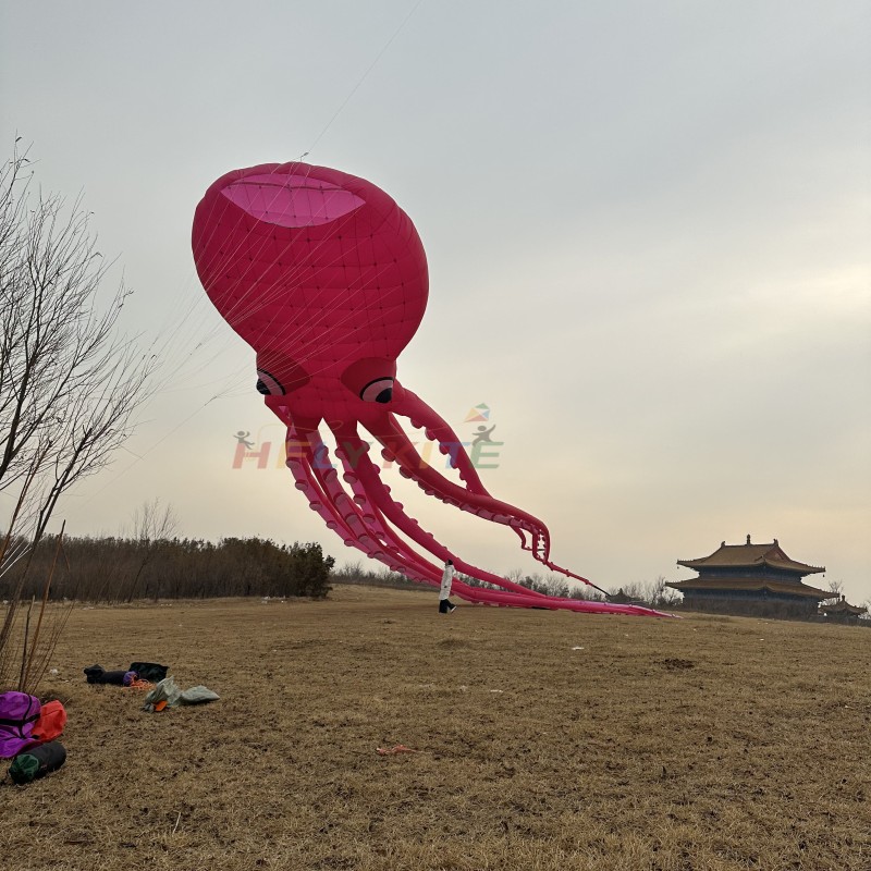 40M octopus kite pendant 40d ripstop nylon 