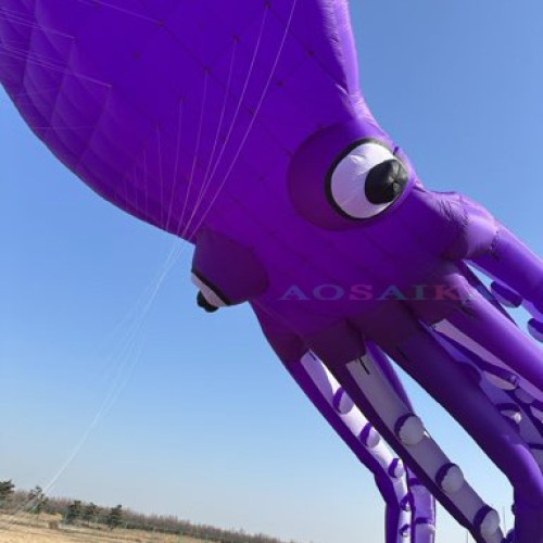 New Arrival 80m octopus Kite Pendant 40d Ripstop Nylon For Adults High Quality Colorful Show Kite