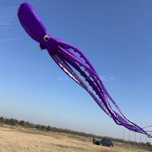 New Arrival 80m octopus Kite Pendant 40d Ripstop Nylon For Adults High Quality Colorful Show Kite