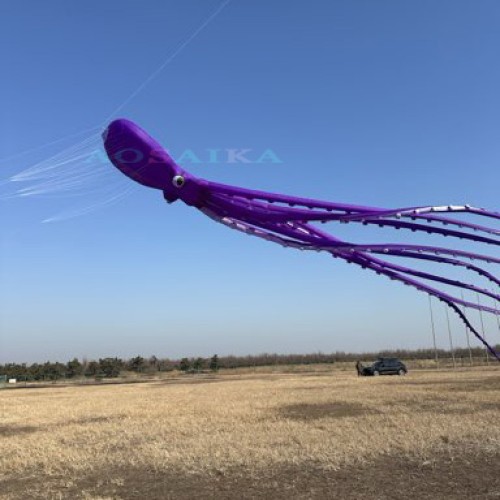 New Arrival 80m octopus Kite Pendant 40d Ripstop Nylon For Adults High Quality Colorful Show Kite