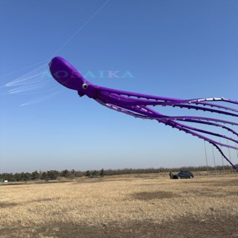 New Arrival 80m octopus Kite Pendant 40d Ripstop Nylon For Adults High Quality Colorful Show Kite 