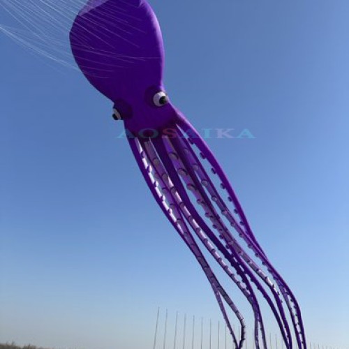 New Arrival 80m octopus Kite Pendant 40d Ripstop Nylon For Adults High Quality Colorful Show Kite