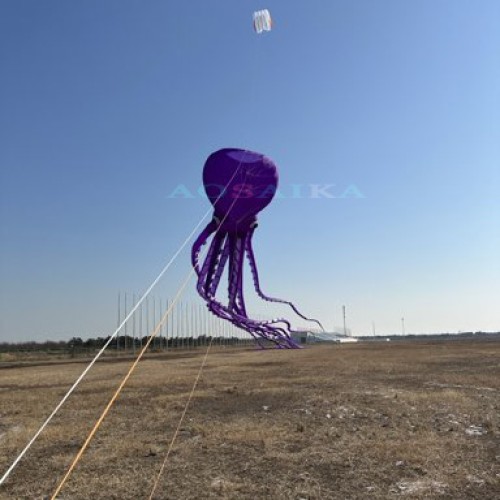 New Arrival 80m octopus Kite Pendant 40d Ripstop Nylon For Adults High Quality Colorful Show Kite