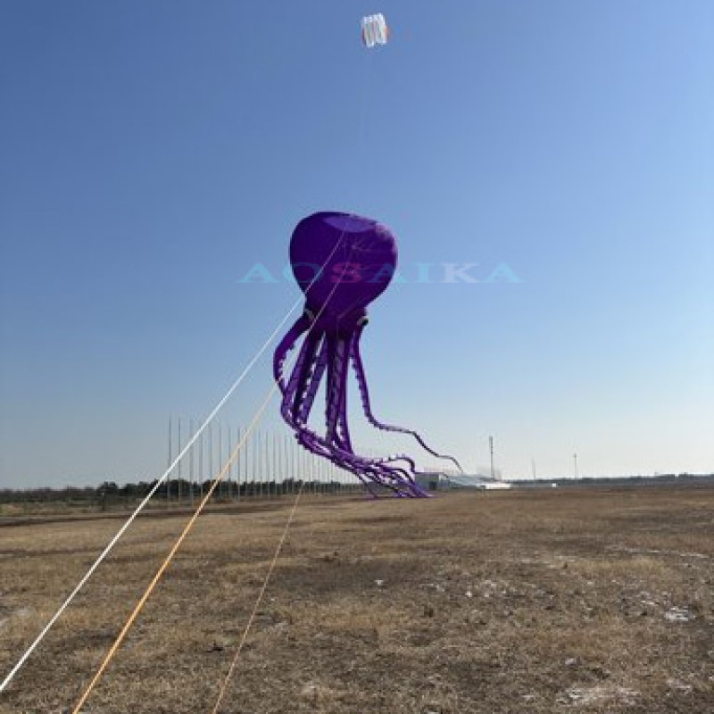 New Arrival 80m octopus Kite Pendant 40d Ripstop Nylon For Adults High Quality Colorful Show Kite 