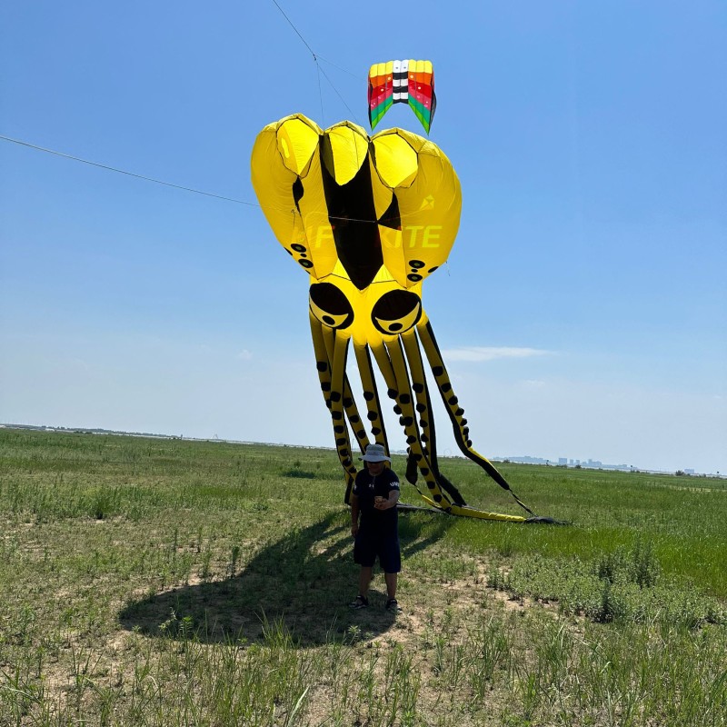 New Arrival 28m octopus Kite Pendant 40d Ripstop Nylon For Adults High Quality Colorful Show Kite 
