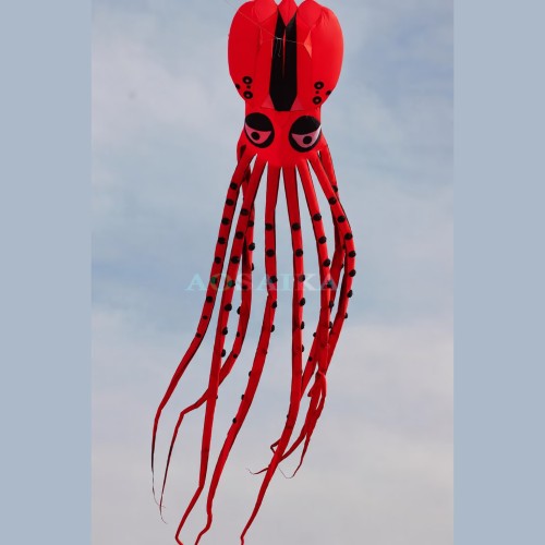 20m octopus INFLATABLE KITE